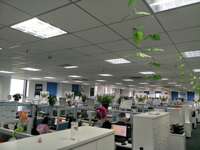 宜信普惠信息咨询（北京） 深耕信息咨询服务，赋能城市发展