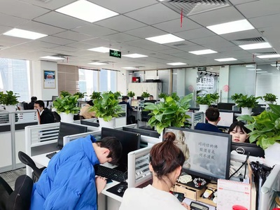 北京聚佳鑫信息咨询 一份信息咨询服务工作的真实体验